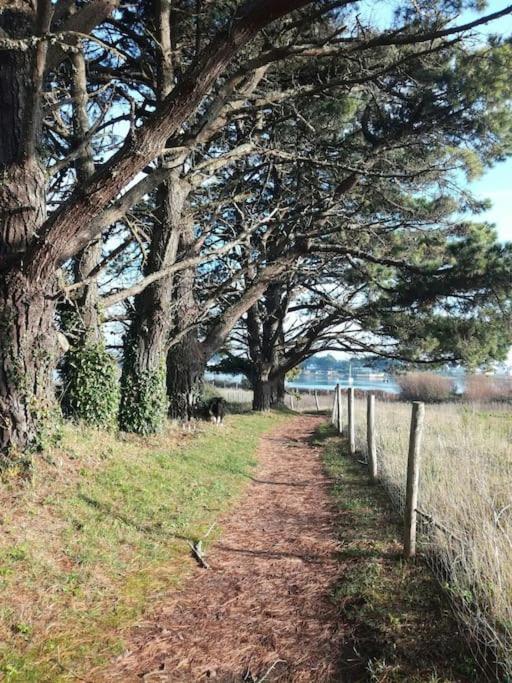 Chalet Cosy, Plages A Pieds. Morbihan. Plouhinec  Bagian luar foto